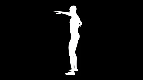 3D Model in T Pose with Rotating Perspective Stock Footage 341776978