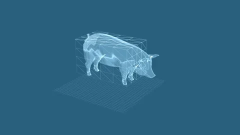 3D Model Visualization of a Pig Enclosed in Wireframe Geometry Rendered in Bl Stock Footage 343591457