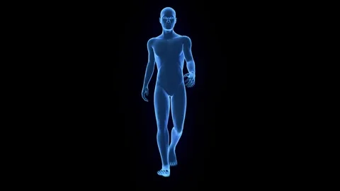 3D Model Walking Simulation Stock Footage 73841174