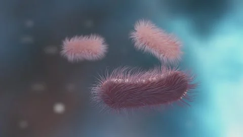 3D Modeled Bacteria Microbial World Vídeos de archivo 247187766