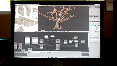 3D Modeling/Texturing Tree Computer Graphics Vídeo Stock 77433302