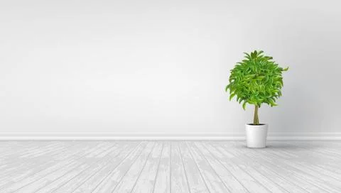 3D Modern Bright Interior Background イラスト素材