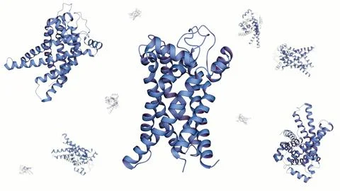 3D Molecular Structure of Thermogenin (UCP1) Stock Illustration