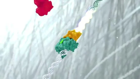 3d molecule of DNA consists of the collapsing of moving particles. Illustrazione stock