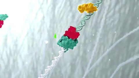 3d molecule of DNA consists of the collapsing of moving particles. 스톡 사진