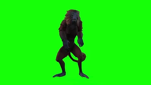 3D Monkey Animation on Green Screen Stock Footage 312552818
