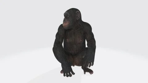 3d monkey Stock Illustration