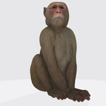 3d monkey 스톡 일러스트