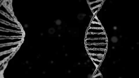 3d motion graphics of DNA Vidéo 83073794