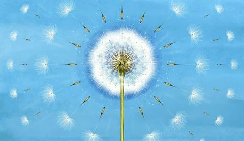 3d mural interior wallpaper. One dandelion on light blue turquoise watercolor Stock Illustration
