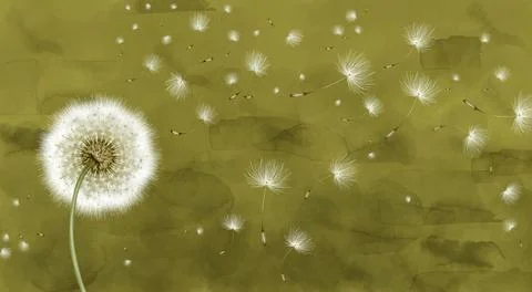 3d mural interior wallpaper. White painting dandelion and on yellow watercolor Stock Illustration