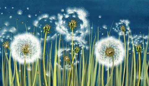 3d mural interior wallpaper.Many dandelions with green grass on deep blue Stock Illustration