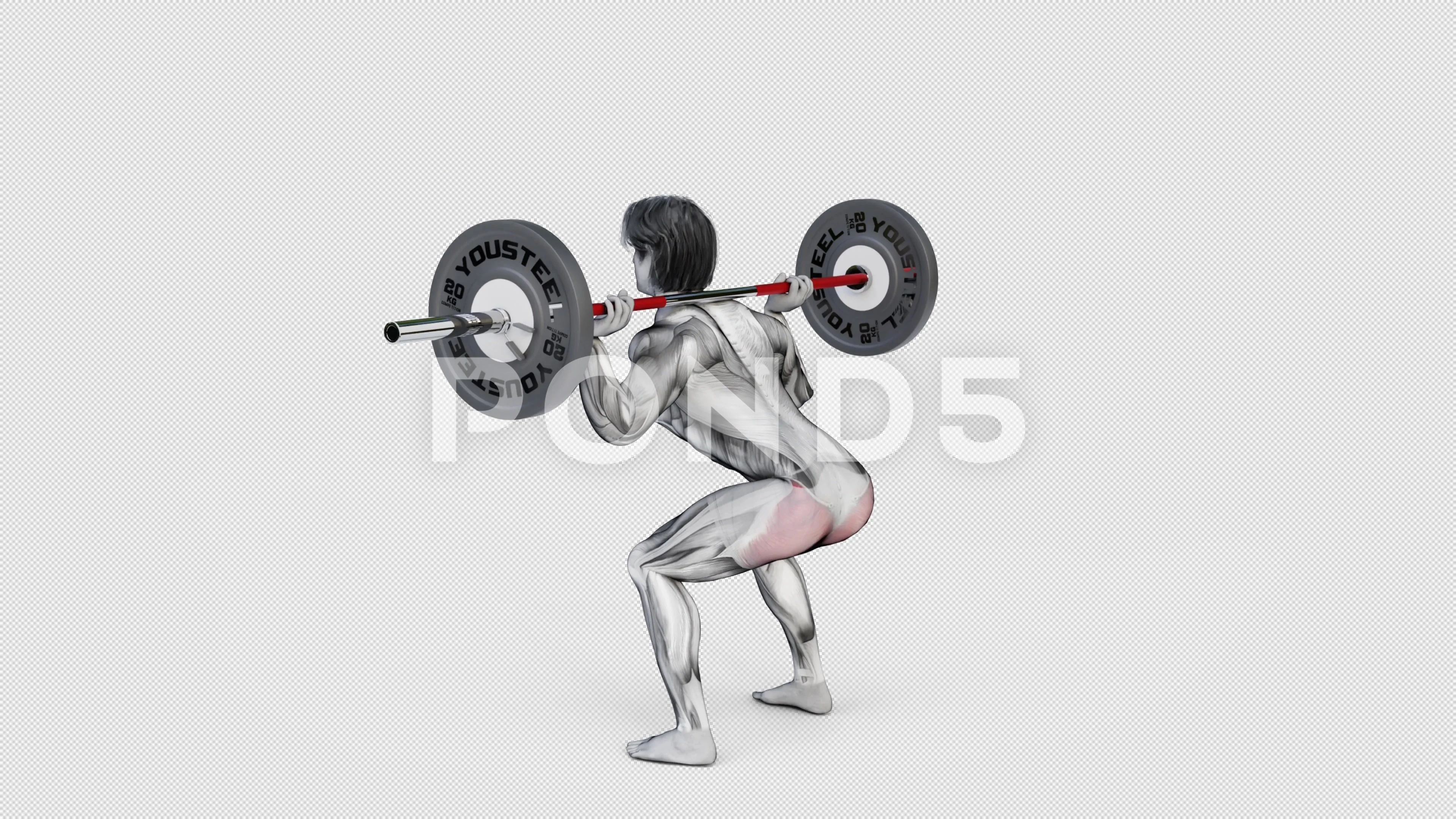 Barbell squat for online glutes