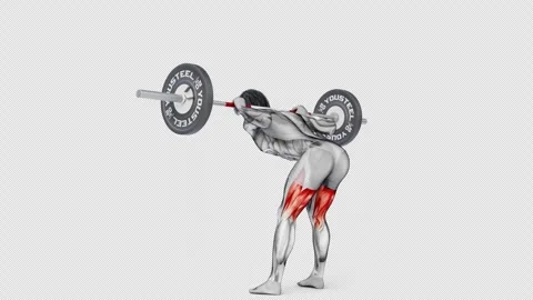 3d of muscular man training Hamstrings-Barbell Low Bar on isolated white Stock Footage 251951421
