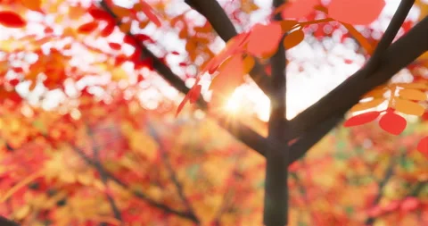 3d nature background Stock Footage 131797577