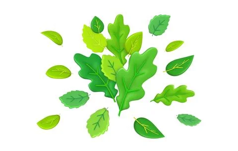 3d nature elements, summer oak leaves. Spring green plants composition, folia Stock Illustration