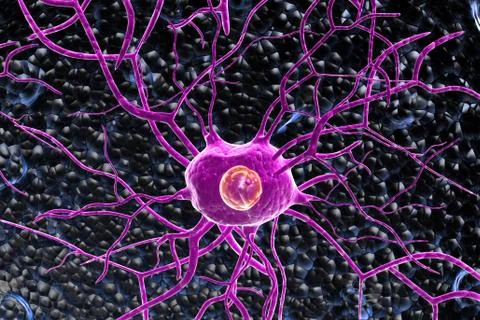 3d Nerve cells Stock Illustration