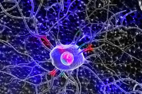 3d Nerve cells Stock Illustration