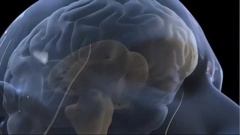 3D of Neural Brain Activity Rotating on Black Background 写真素材