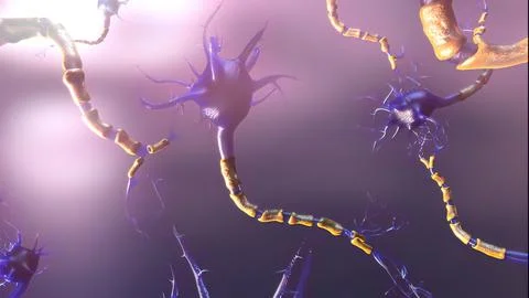 3D of neural network and neurons firing Stock Photos