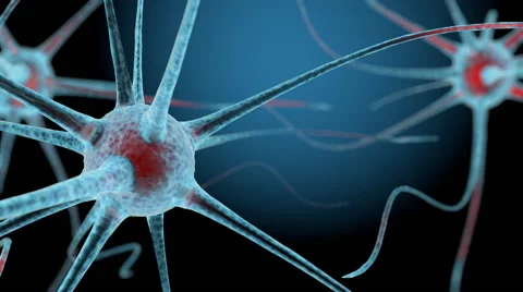 3D neuron cells network structure animation Stock Footage 63422750