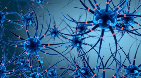 3D neuron cells network structure animation Vidéo 63425625