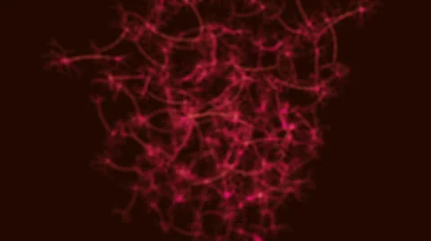 3D Neurons - Zoom 2 스톡 동영상 23275077