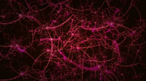 3D Neurons - Zoom 스톡 동영상 23256701