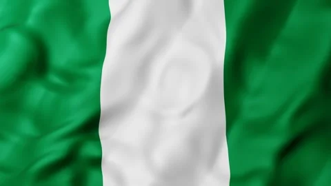3d Nigerian flag animation waves gently in the breeze and seamless loop Stockbeeldmateriaal 338315365