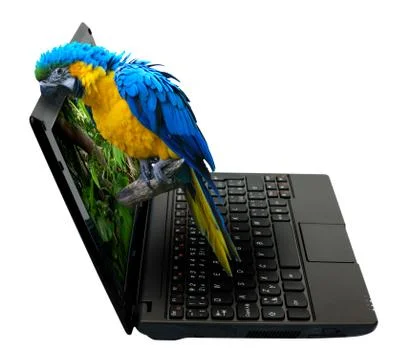 3d notebook Ilustración de archivo