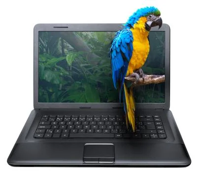 3d notebook Ilustración de archivo