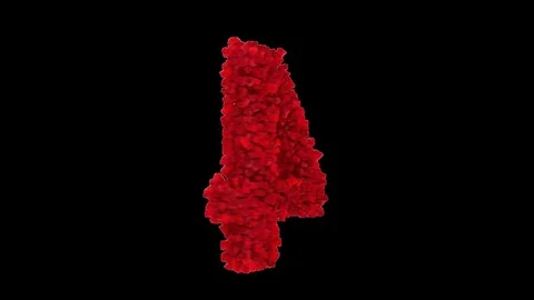 3D number 4 made of red roses appearing and seamless turning Stock Footage 74738884
