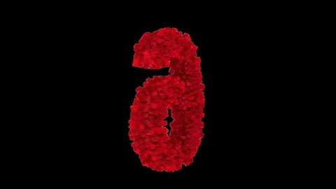 3D number 6 made of red roses appearing and seamless turning Stock Footage 74929221