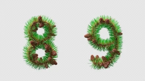 3D numbers 8 and 9 created from pine needles and cones. Alpha channel. Stock Footage 317501454