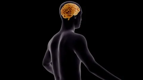 3D  Object Hologram Visualization Stock Footage 289701329