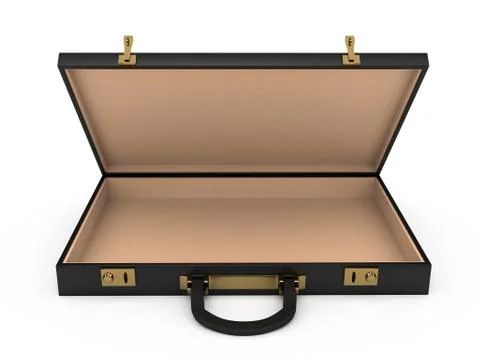 3d open case with money Stock Illustration