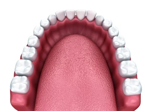 3d open denture isolated on white Stock Illustration