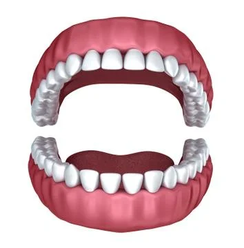 3d open denture isolated on white Stock Illustration