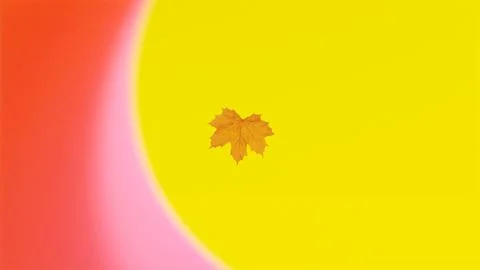 3D Orange and Yellow Leaf. Autumn maple leaf. Golden Autumn Stock Illustration