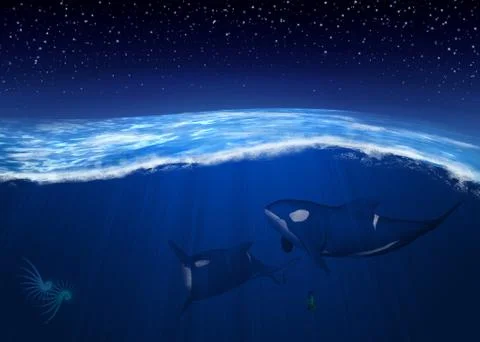 3d orca underwater Иллюстрация