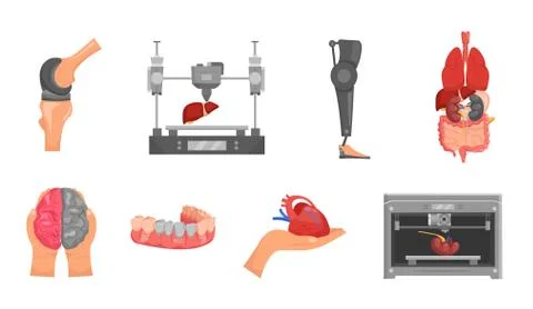 3d organ printing set Stock Illustration