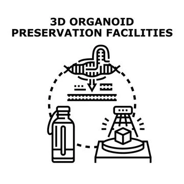 3d organoid preservation facilities concept vector Stock Illustration