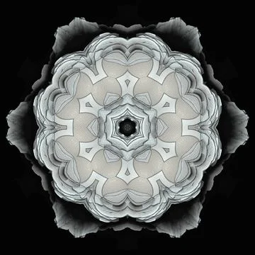 3D ornament on black background	 스톡 일러스트