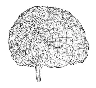 3D outline brain 스톡 일러스트