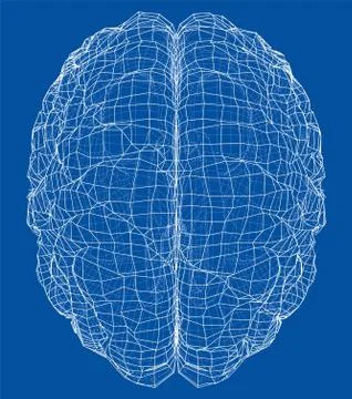 3D outline brain. Vector rendering of 3d Stock Illustration