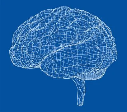 3D outline brain. Vector rendering of 3d Illustrazione stock