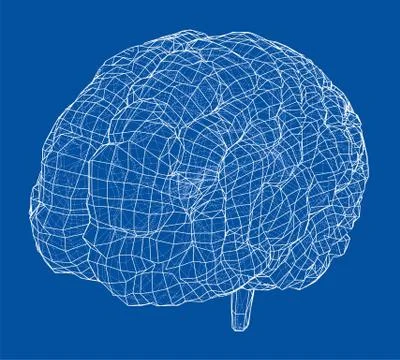 3D outline brain. Vector rendering of 3d Illustrazione stock