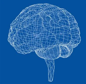 3D outline brain. Vector rendering of 3d Illustrazione stock