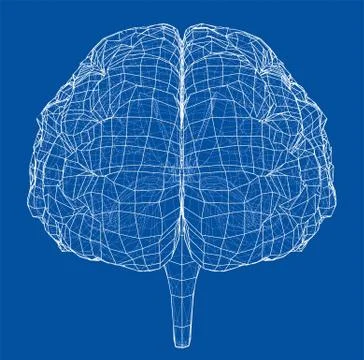 3D outline brain. Vector rendering of 3d Illustrazione stock