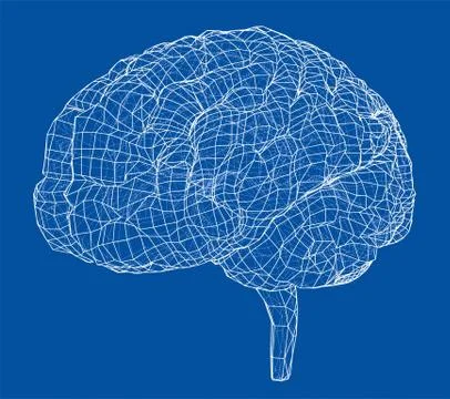 3D outline brain. Vector rendering of 3d Illustrazione stock